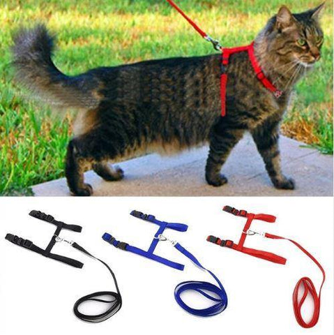 NYLON CAT HARNESS AND LEASH - TSP Top Selling Products