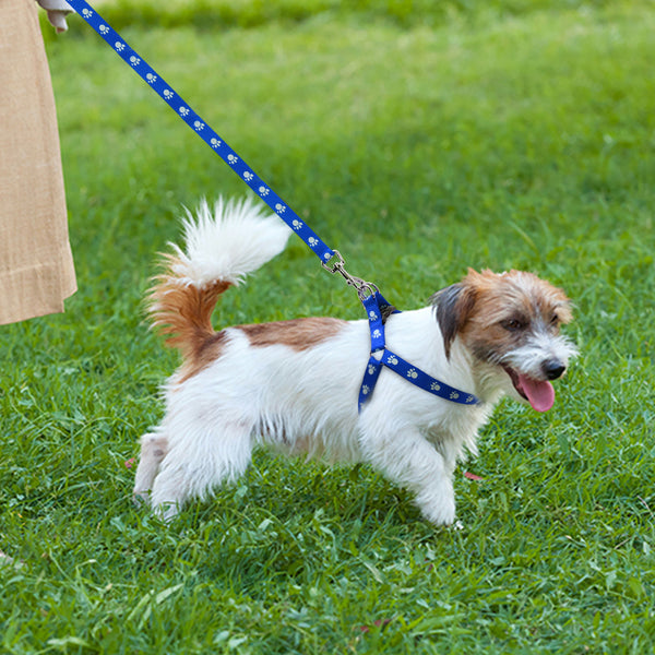 PAW PRINT SMALL DOG HARNESS & LEASH SET