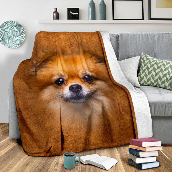 Pomeranian Face Hair Blanket