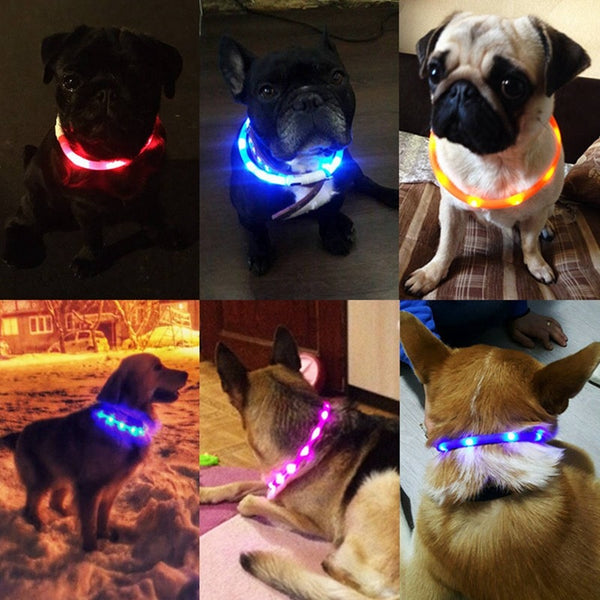 LED GLOWING NIGHT SAFETY DOG COLLAR
