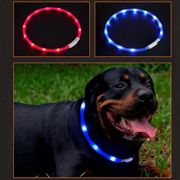 LED GLOWING NIGHT SAFETY DOG COLLAR