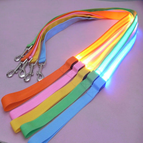 Colored LED Leashes