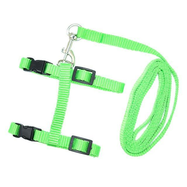 NYLON CAT HARNESS AND LEASH - TSP Top Selling Products